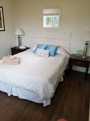 a bedroom with a large white bed with blue pillows at Westlake Picton Cottage in Wellington