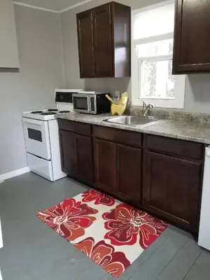 a kitchen with a stove and a sink and a kitchen rug at Westlake Bloomfield Cottage in Wellington