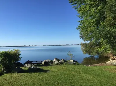 a view of a lake with rocks and a tree at Westlake Cottage - Wellington Lodge in Wellington