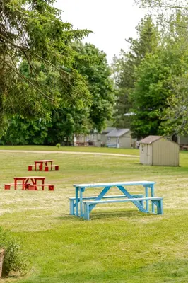 a blue picnic table in a field of grass at Westlake Cherry Valley Cottage in Wellington
