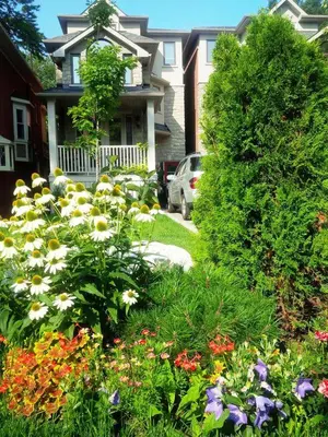 a garden of flowers in front of a house at Luxury Home - Upper Toronto Beaches in Toronto