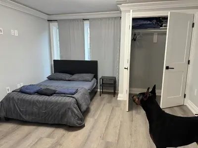 a dog standing in a bedroom with a bed at Oshawa Connect - Prime Location, Modern Space in Oshawa