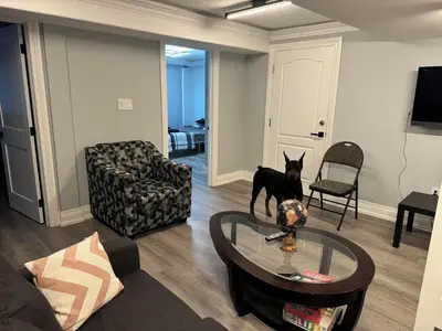 a dog standing in a living room with a table at Oshawa Connect - Prime Location, Modern Space in Oshawa