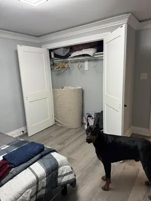 a black dog standing in a room with a bed at Oshawa Connect - Prime Location, Modern Space in Oshawa