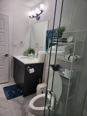 a bathroom with a sink and a toilet and a mirror at Gateway to Serenity-Welcome home in London