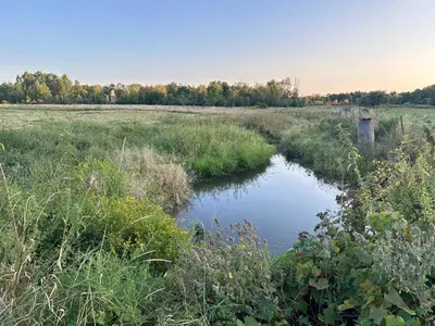 a small river in a field with grass at Charming Farmhouse in Grafton