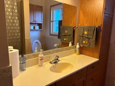a bathroom with a sink and a mirror at Charming Farmhouse in Grafton