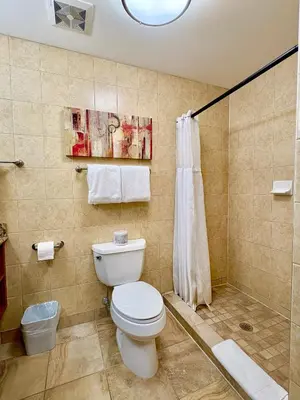 a bathroom with a toilet and a shower at Waterloo Suites Hotel, Trademark Collection by Wyndham in Waterloo