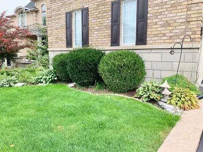 a house with a yard with green grass and bushes at Private Bright Coach House - Near Pearson Airport & Downtown Toronto in Brampton
