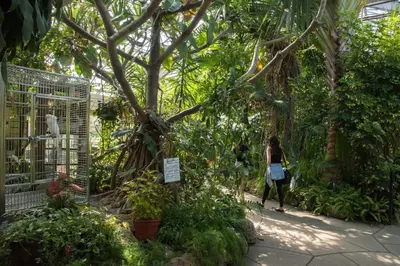 a woman walking through a garden with a tree at Staybridge Suites Toronto Airport East by IHG in Toronto