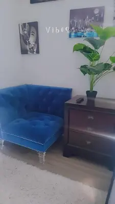 a blue couch sitting next to a table with a plant at Comfortable Getaway in Hamilton
