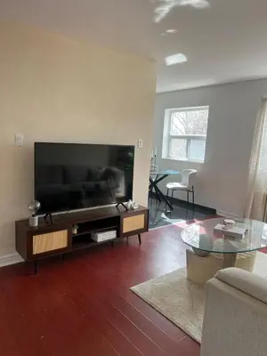 a living room with a large flat screen tv at Cozy Bohemian Apartment in Toronto