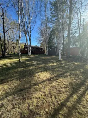 a yard with trees and a building in the background at Cozy lakeside Cottage on 3 Mile Lake with Wifi in Windermere