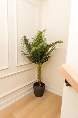a plant in a black pot in a room at Luxurious Home Away From Home in Pickering