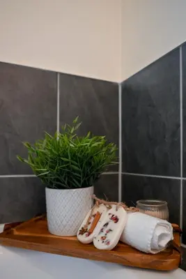 a bathroom shelf with two towels and a potted plant at Modern 3Bed Home 10 Mins to Niagra Falls in Thorold