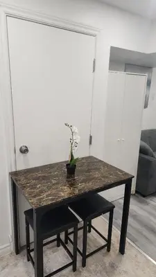 a table with a potted plant on it in a room at Entire Studio Guest Suite in Kitchener in Kitchener