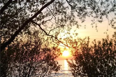 a sunset over a body of water with trees at Wavy Daze in Wasaga Beach