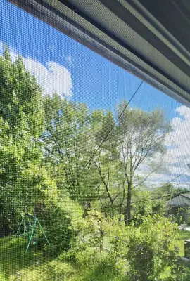 a window with a view of a tree at Sunny Corner Room with View in Toronto