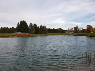 a large body of water with trees in the background at Summer Escape Close to the City in Newmarket