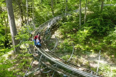 a group of people riding a roller coaster in the woods at Blue Mountain Resort Village Suites in Blue Mountains