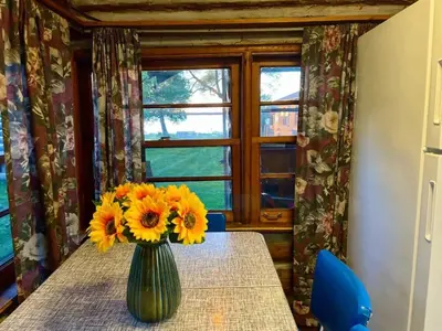 a vase of sunflowers on a table with a window at Balsam Lake - 2-Bedroom Cottage #8 in Kawartha Lakes
