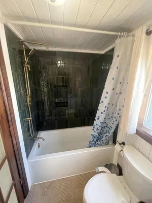 a bathroom with a toilet and a bath tub at Muskoka Cabana - Sandy beach cottage in Muskoka in Utterson