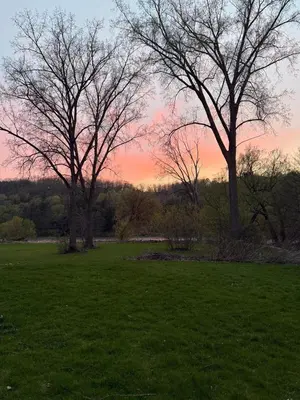 two trees in a field with a sunset in the background at Grand River Entire Cottage near Cambridge and Brantford in Cambridge