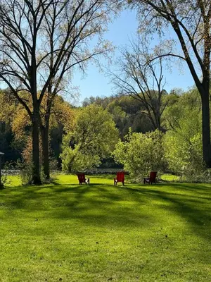 two park benches in a grassy field with trees at Grand River Entire Cottage near Cambridge and Brantford in Cambridge