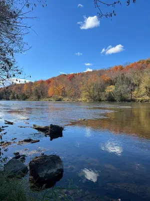 a view of a river with trees in the background at Grand River Entire Cottage near Cambridge and Brantford in Cambridge