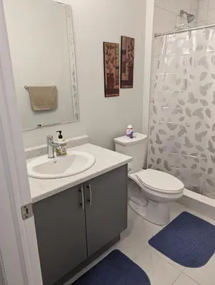 a bathroom with a sink and a toilet and a shower at Spacious Luxury walk out Basement in Kitchener