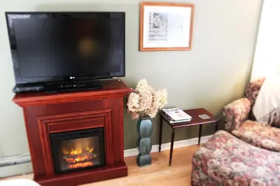 a living room with a fireplace with a tv on top at Forest Hill Bed and Breakfast in Kitchener