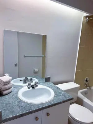 a bathroom with a sink and a toilet and a mirror at The Charming Downtown Stop in Toronto