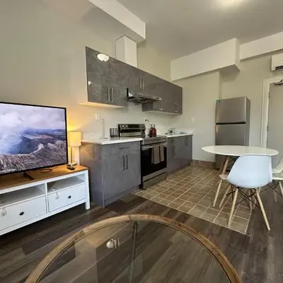 Furnished Simcoe Lofts
