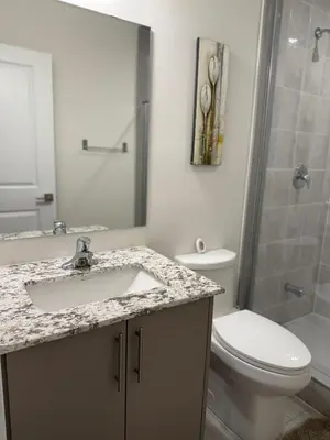 a bathroom with a sink and a toilet and a mirror at Modern Luxury Basement Suite in Oakville