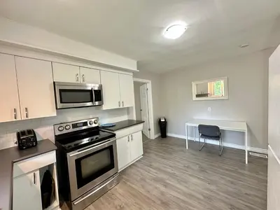 a kitchen with a stove and a microwave at Mountain View House - Sleeps 14 in St. Catharines