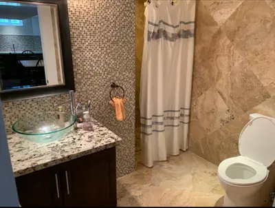 a bathroom with a sink and a shower and a toilet at Basement apartment in Vaughan
