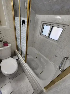 a bathroom with a shower and a toilet and a sink at 3Q Ltd in Hamilton