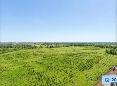 an aerial view of a green field with trees at Aseesniwas in Brampton