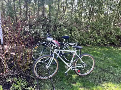 two bikes parked in the grass in a yard at Beautiful Four Bedroom Lagoon City Waterfront Home in Brechin
