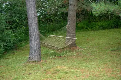 a hammock hanging between two trees in a yard at Butterfly Lake House | Cozy & Peaceful Stay in Port Carling