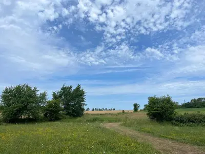 a dirt road in a field with a cloudy sky at Duncan in Kimberley