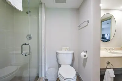 a bathroom with a toilet and a sink and a shower at Perfect Jacuzzi Suite at Highland in Shanty Bay