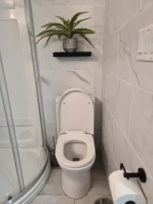 a bathroom with a toilet and a potted plant at Equipped Basement Great Location in London