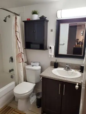 a bathroom with a toilet and a sink and a mirror at DT Apt great view whit garden in Toronto