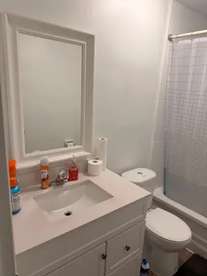 a bathroom with a sink and a toilet and a mirror at Modern Suite, 1 Guest Room in St. Catharines