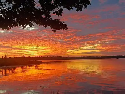 a sunset over a body of water with a tree at Pet friendly- Crystal Water fishing Family Retreat in Havelock