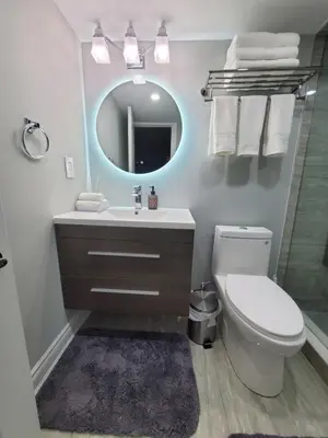 a bathroom with a toilet and a sink and a mirror at 3 bdrm 3 bath bsmt Brampton Toronto, Sleeps 16 in Brampton