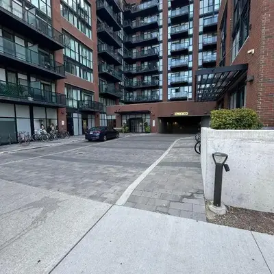 Vibrant 1 Bedroom Condo Apt