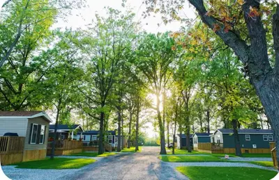 a road leading to a row of cottages at Cottage on Niagara on the Lake in Niagara on the Lake