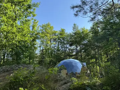an iguanauanauanauanauanauanauanauanauanauanauanauanauana at Rare Mirrored Glamping Dome in Severn